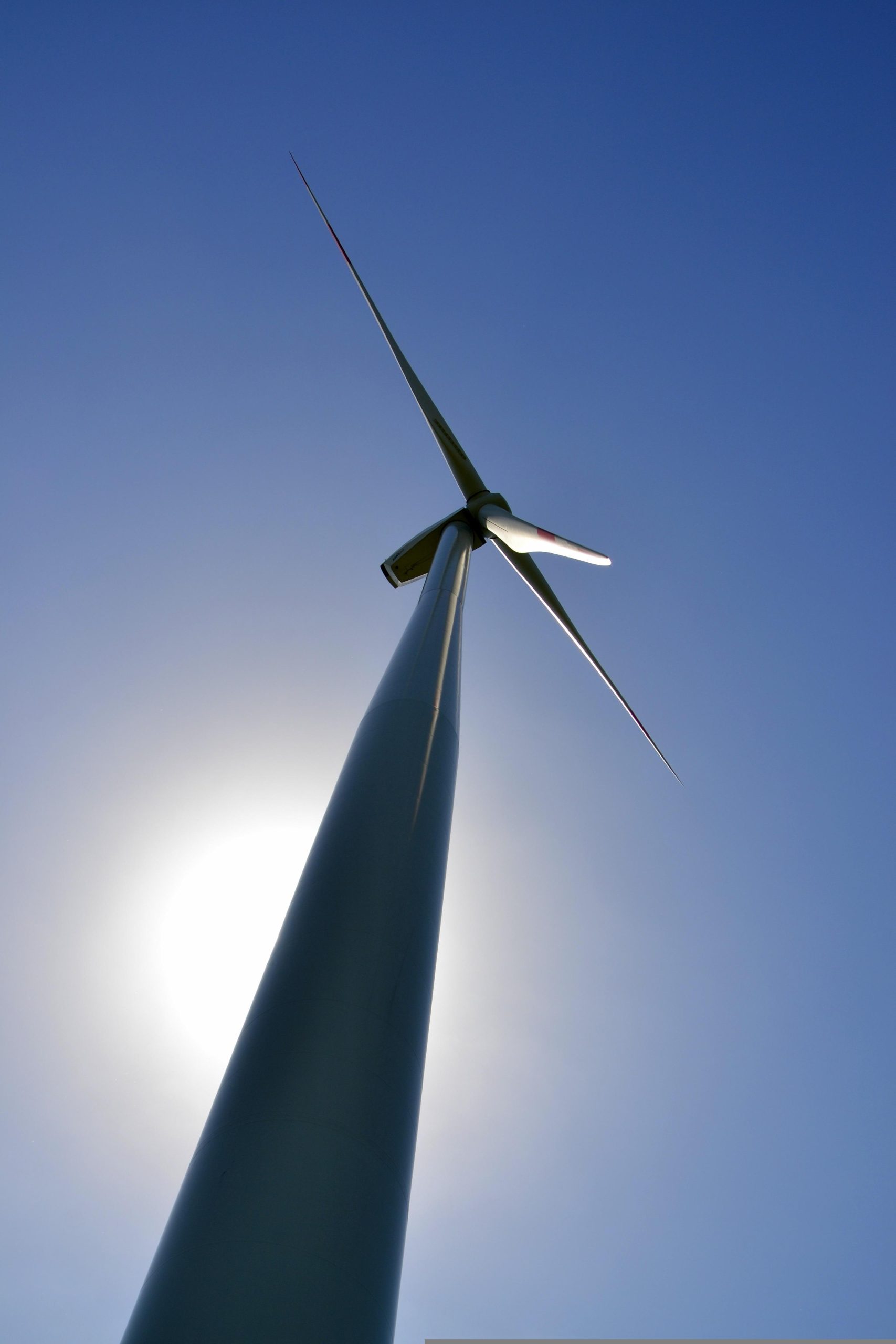 Renewable Energy Solar Wind